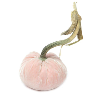 Blush Silk Velvet Pumpkin