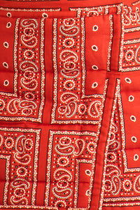Powell Skirt in Aces Wild Red