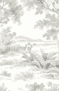 Boråstapeter Countryside Morning Wallpaper in Grey