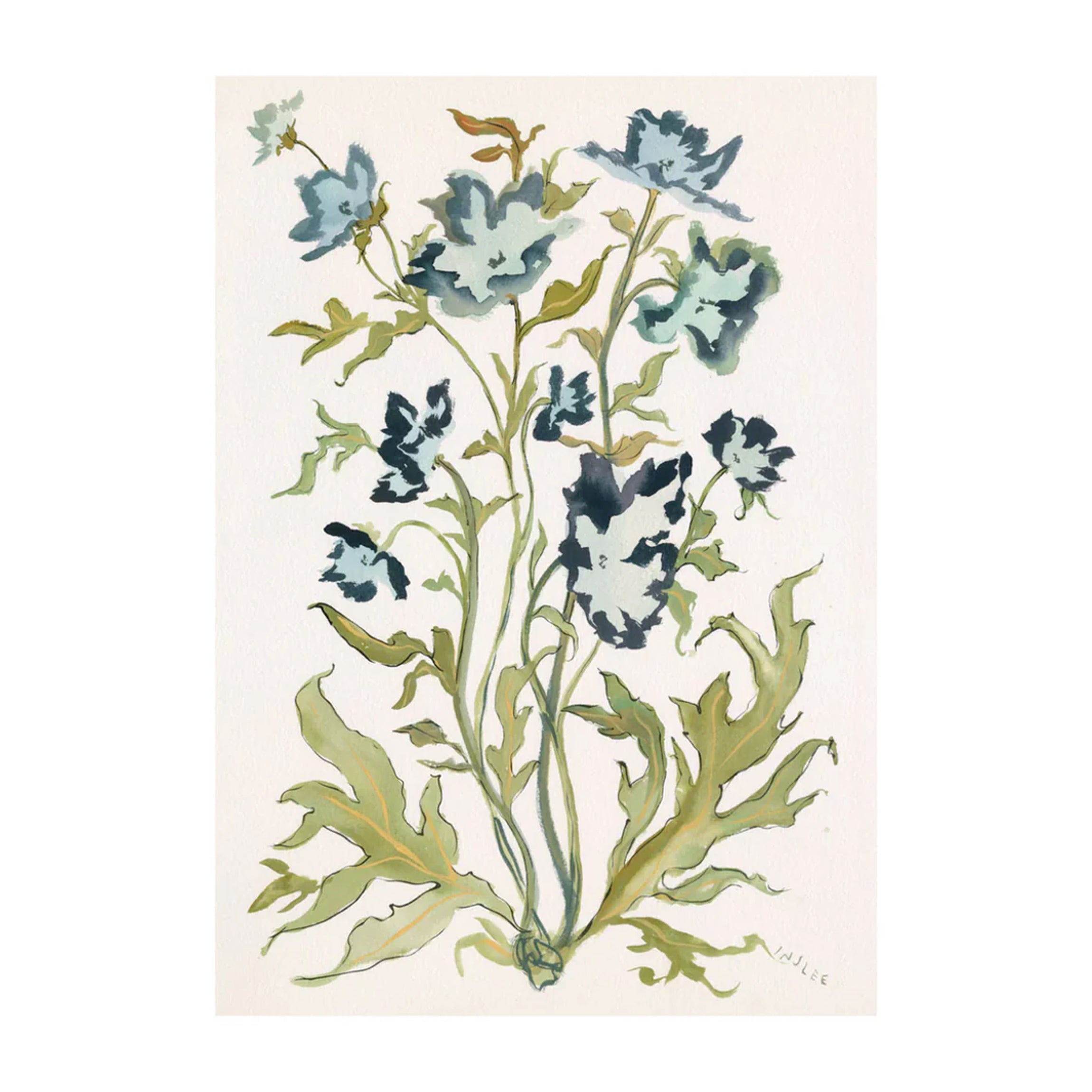 Botanical Print: Prussian Poppies