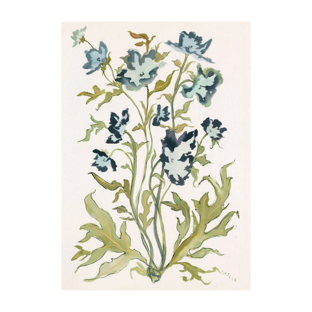 Botanical Print: Prussian Poppies