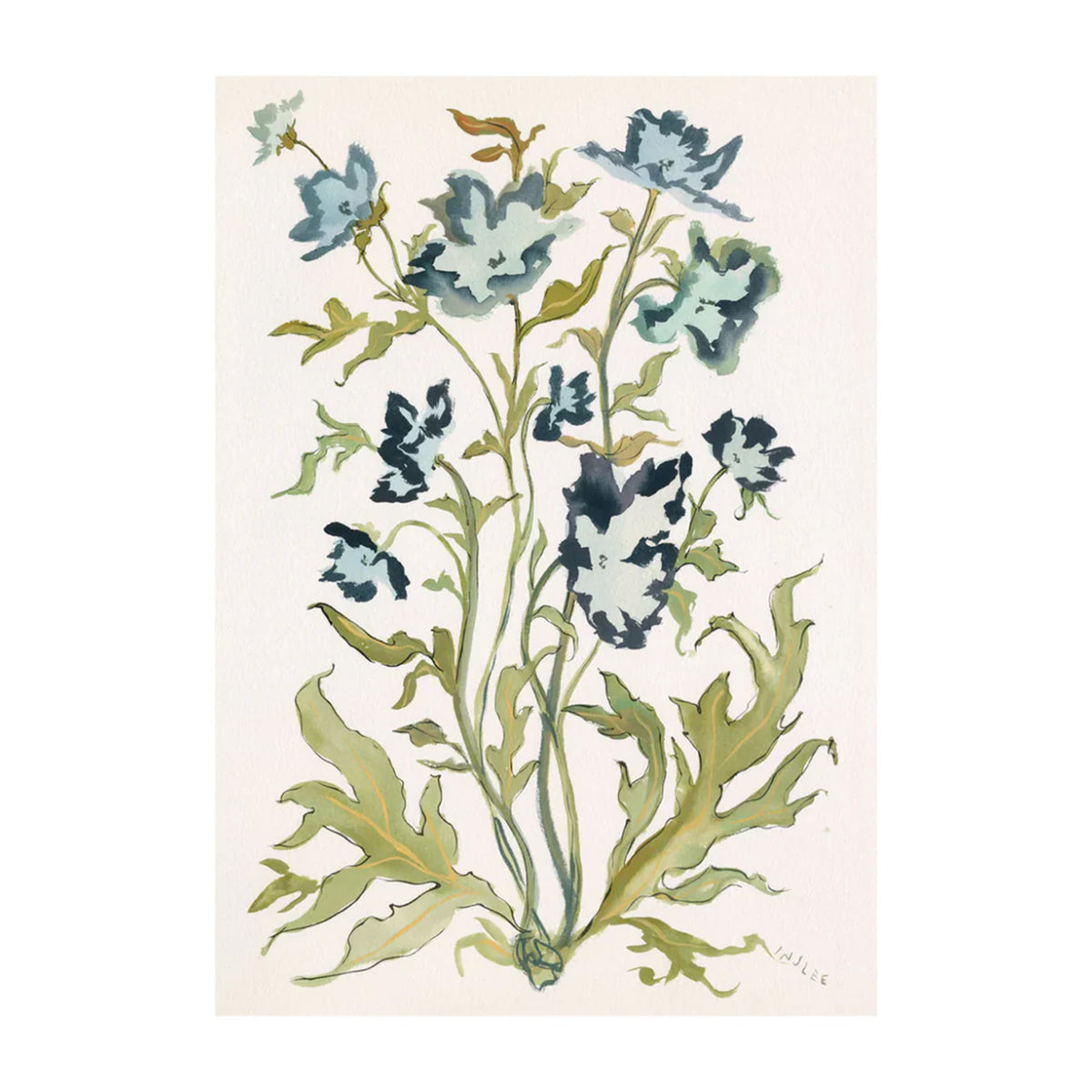 Botanical Print: Prussian Poppies