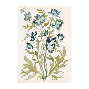 Botanical Print: Prussian Poppies