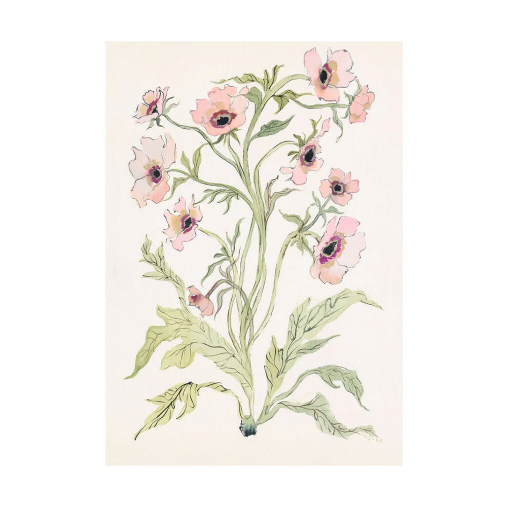 Straight-on view of botanical watercolor print of pink poppy-like flowers with sage-green stems and leaves on off-white paper