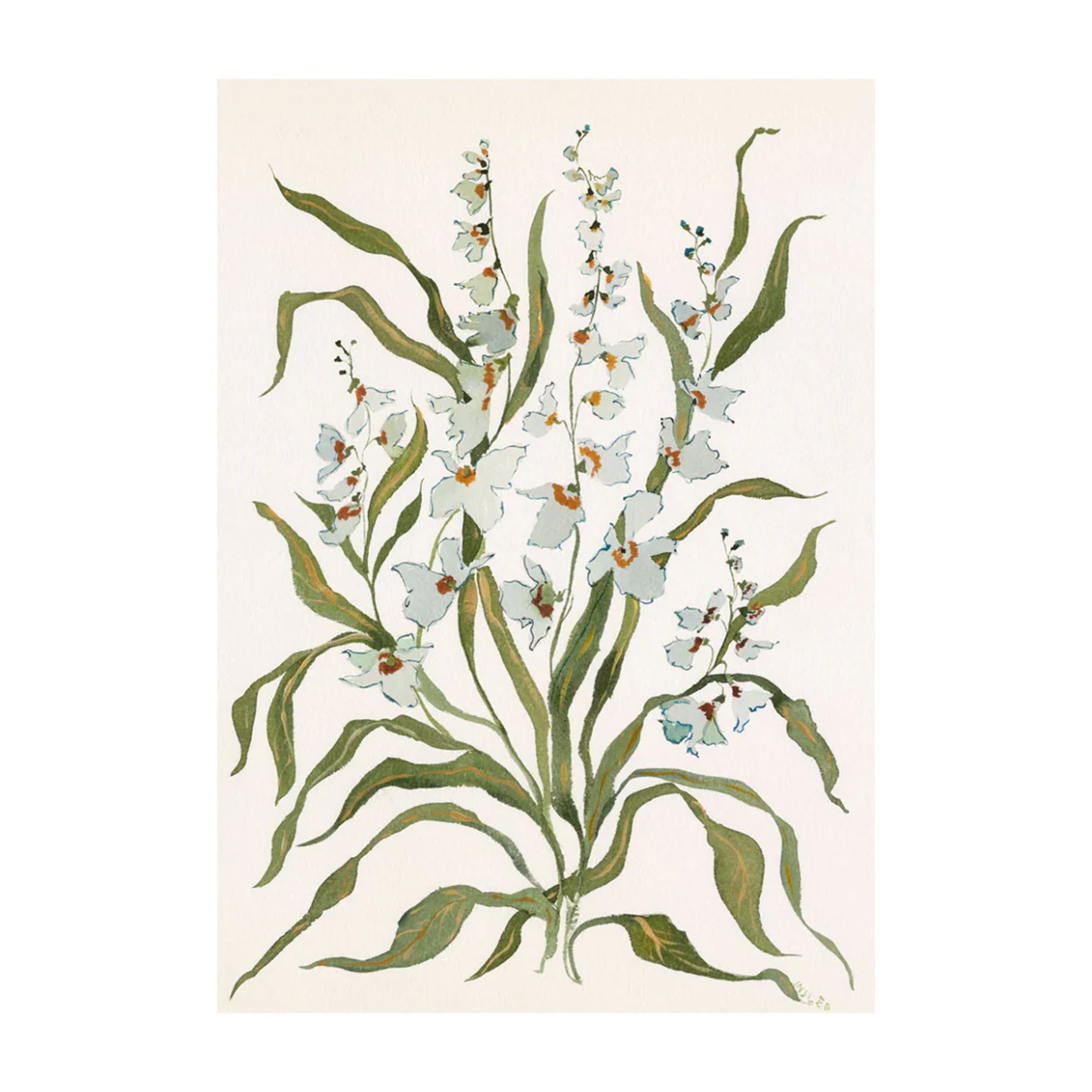 Botanical Print: Dove & Celadon
