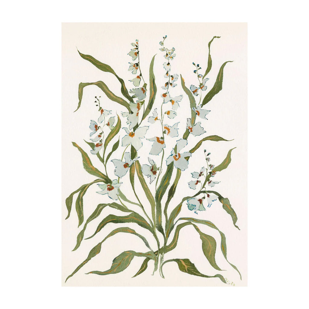 Botanical Print: Dove & Celadon