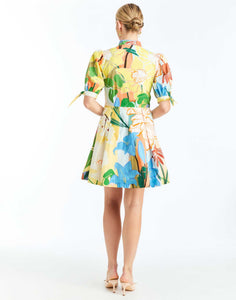 Brooklyn Mini Dress in Primrose Florals