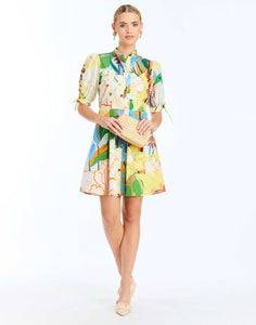 Brooklyn Mini Dress in Primrose Florals