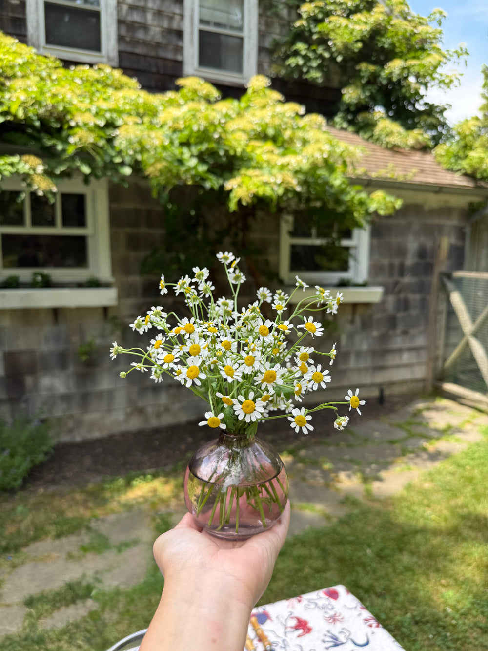 Bud Vase in Rose