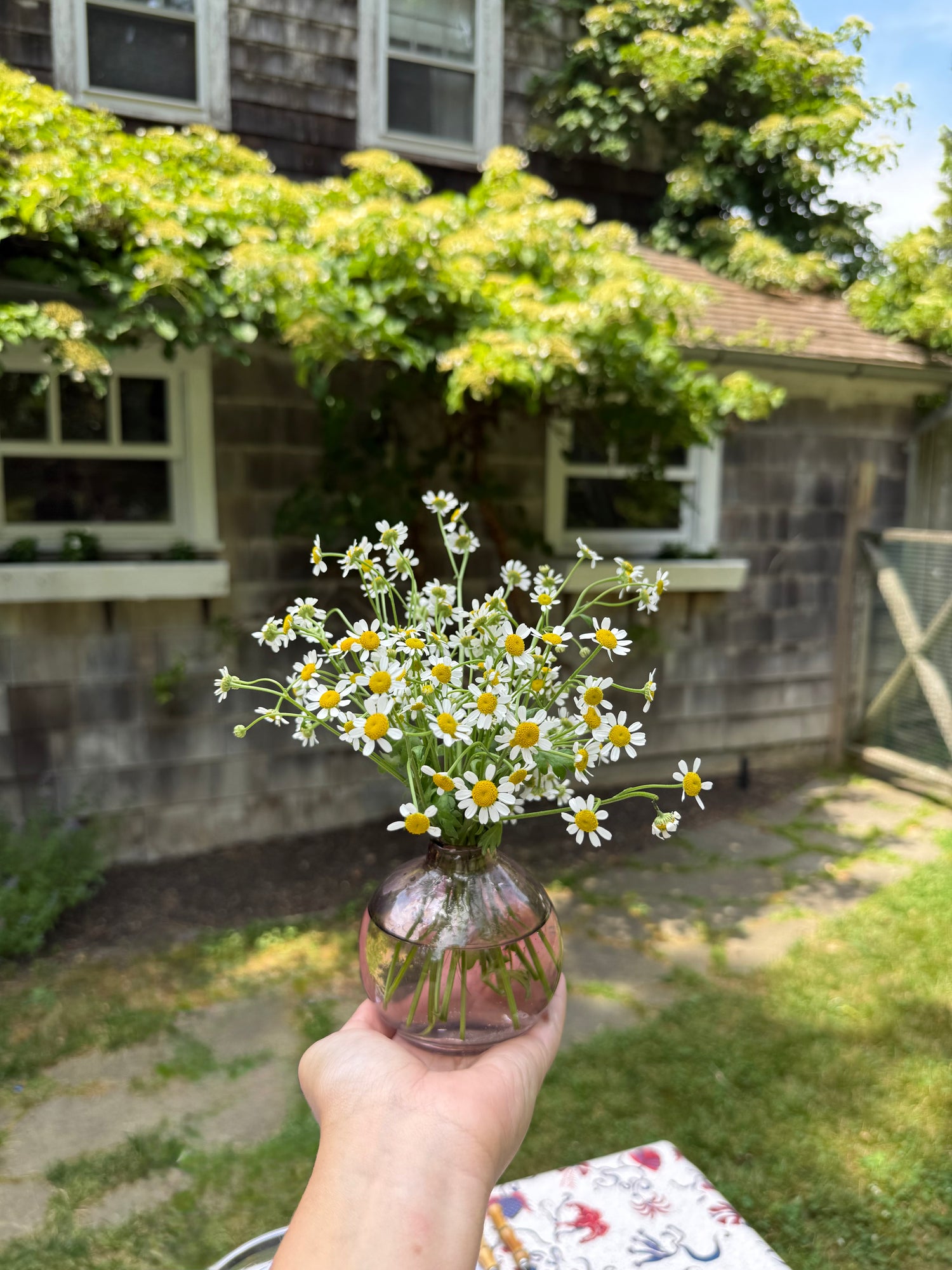 Bud Vase in Rose