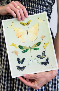 Butterfly Print: Natura No. 1