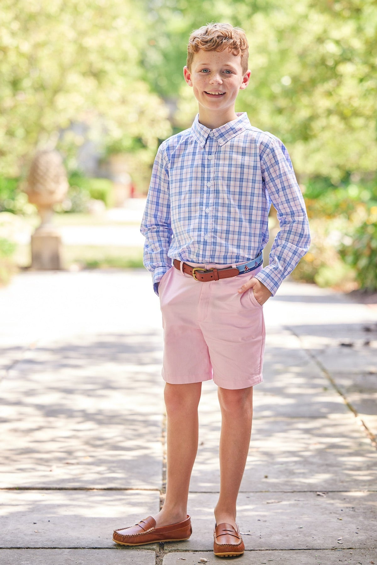 Button Down Shirt Albany Plaid