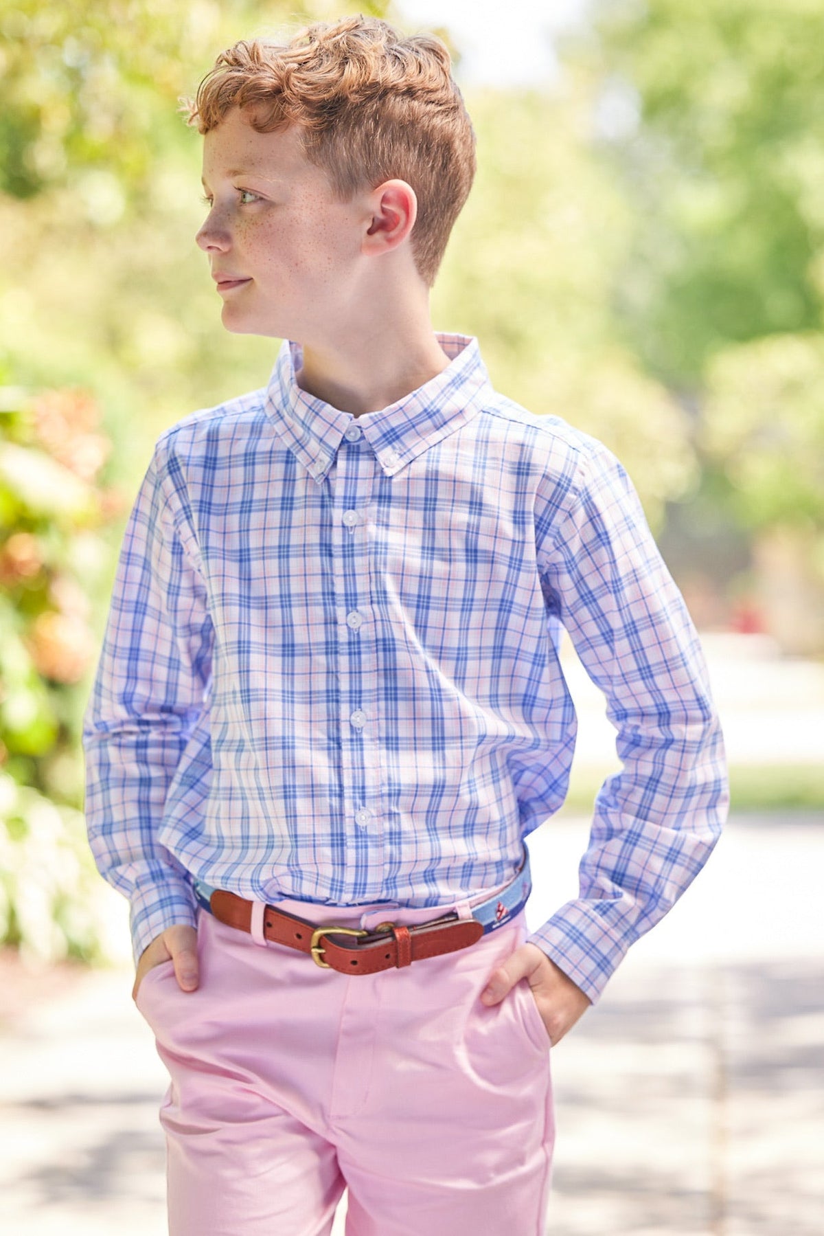 Button Down Shirt Albany Plaid