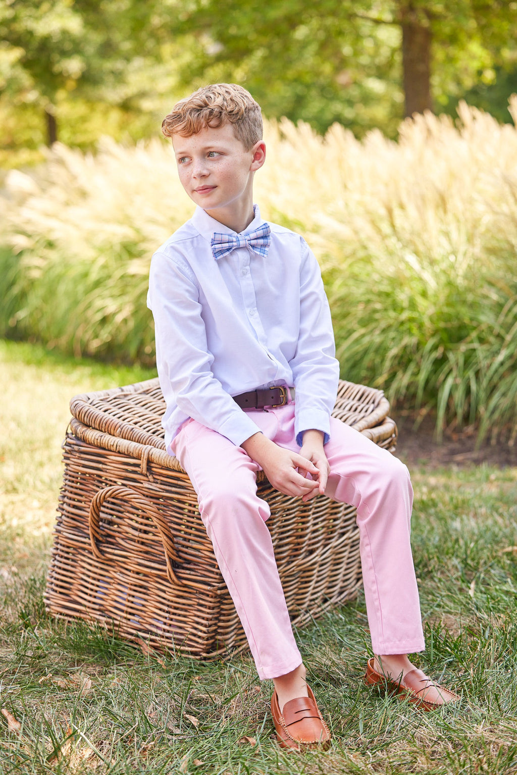 Bow Tie Albany Plaid