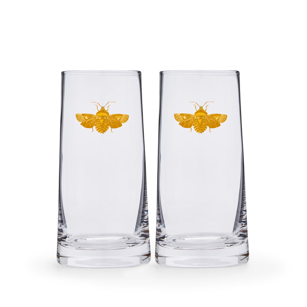 Creatures of Curiosity Highball Glasses, Set of 2