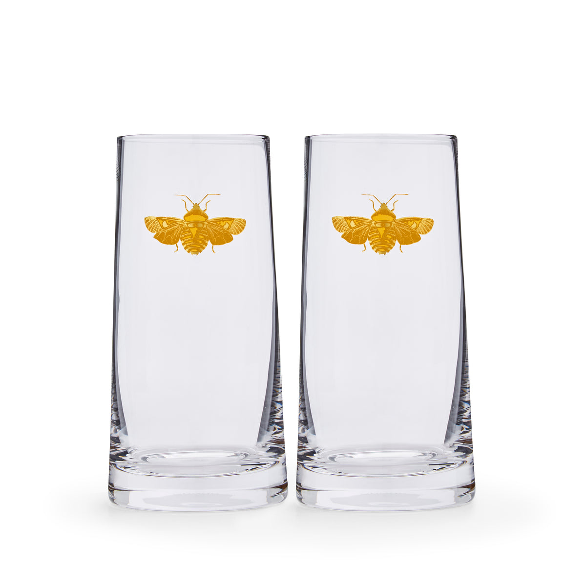 Creatures of Curiosity Highball Glasses, Set of 2