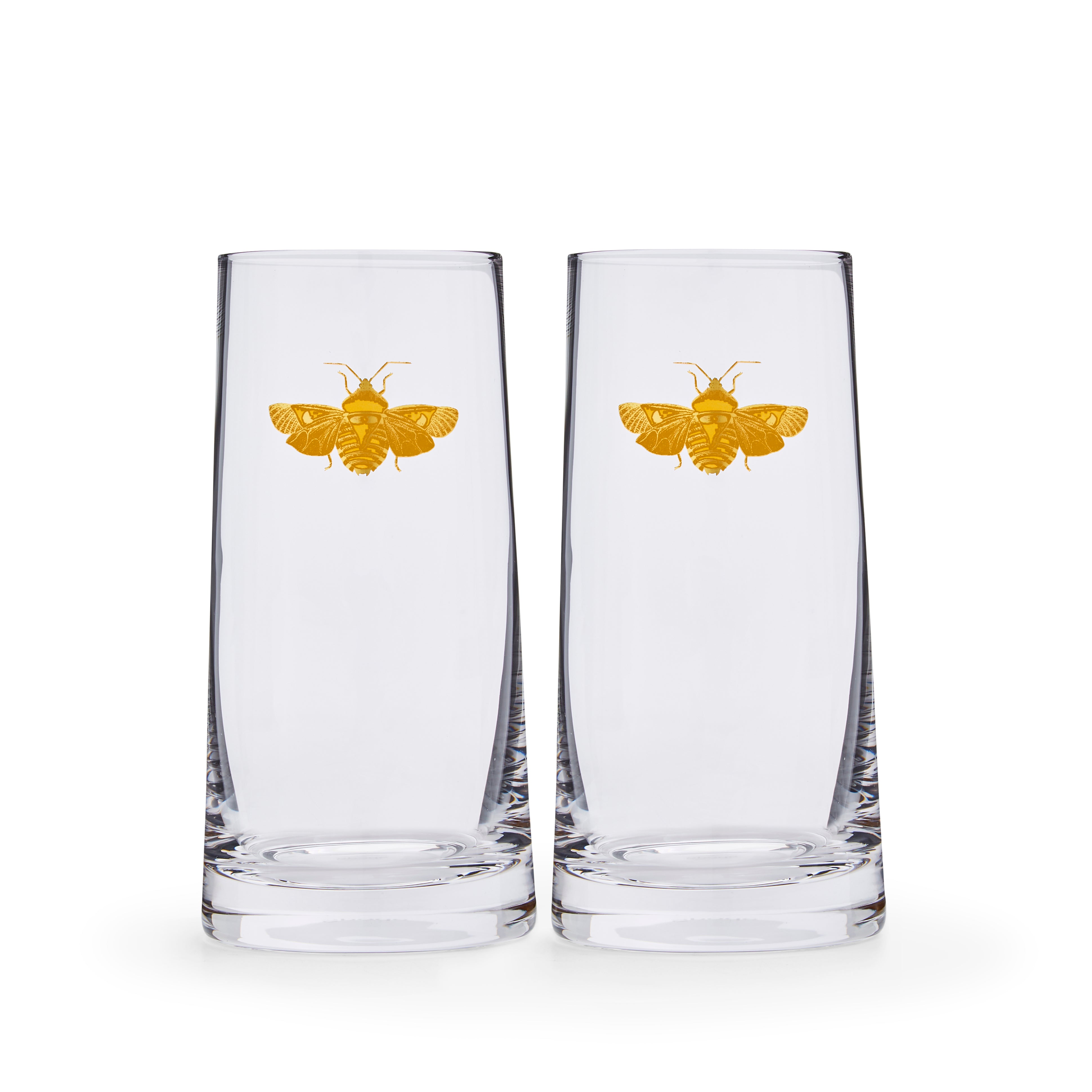 Creatures of Curiosity Highball Glasses, Set of 2