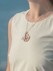 Medium Scallop Shell Charm in Multi