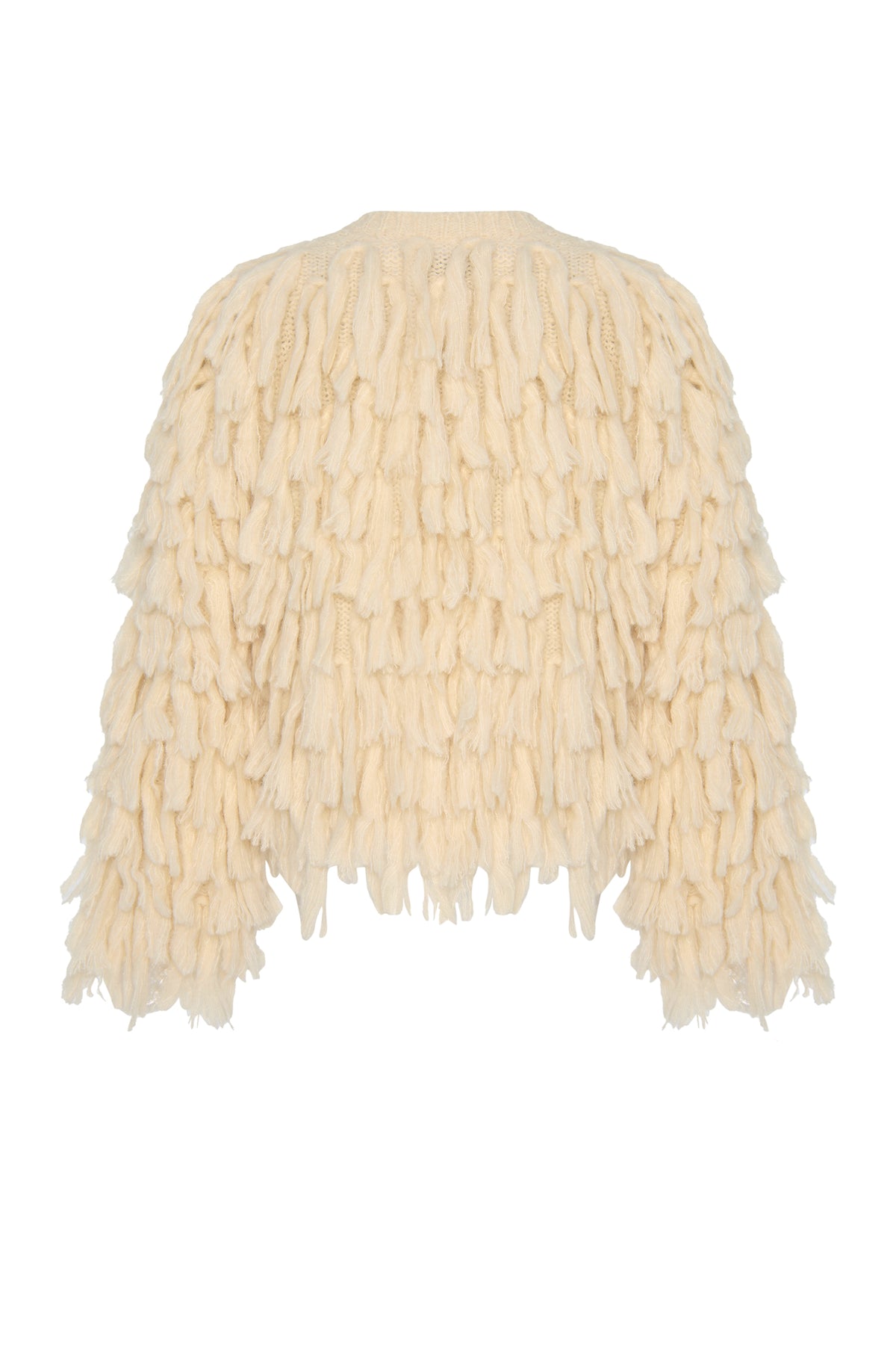 Cher Fringe Jacket