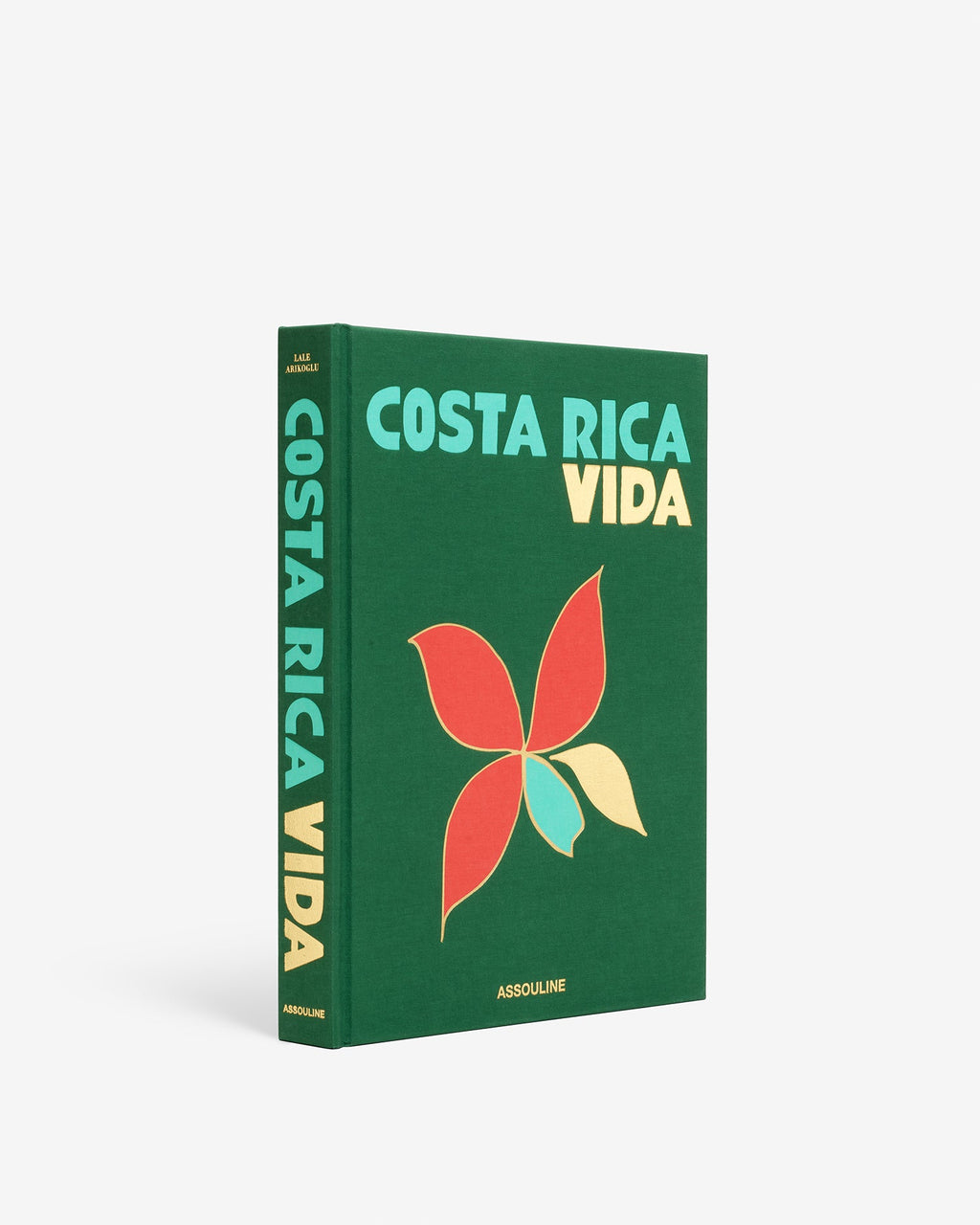 Book titled 'Costa Rica Vida' with a colorful leaf design on a green background