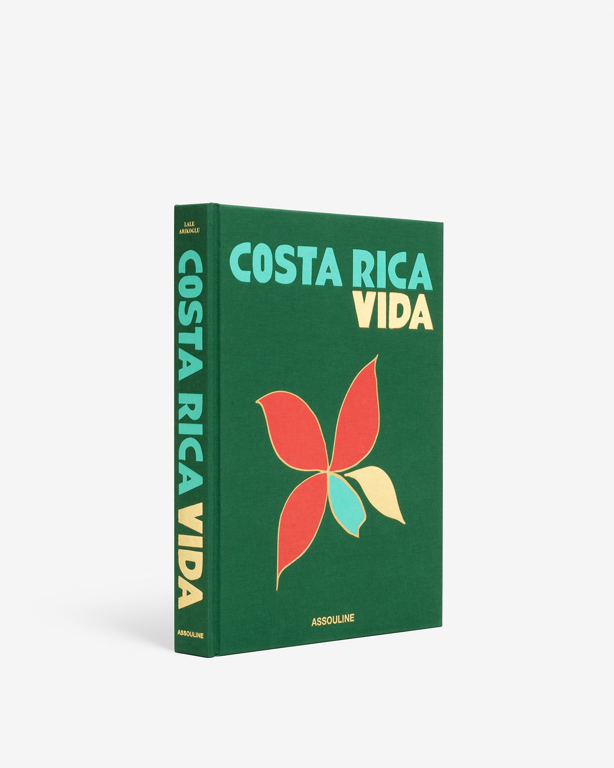 Book titled 'Costa Rica Vida' with a colorful leaf design on a green background