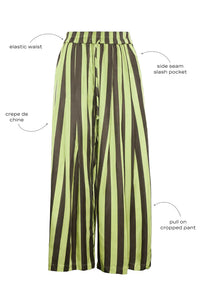 Close up of the Cyprus Pant, dark green & yellow striped pants with call outs.