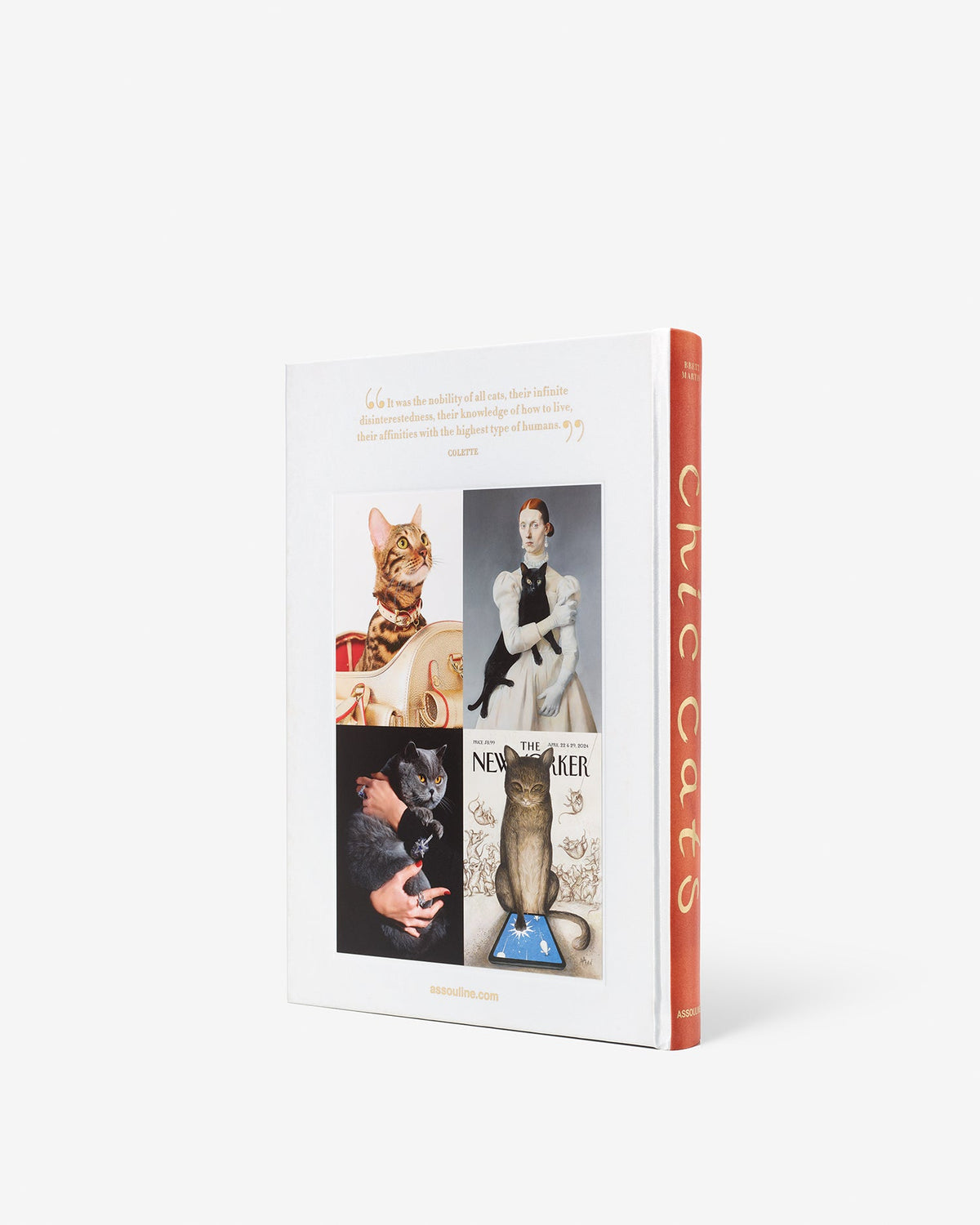 Book cover with images of cats and text on a white background