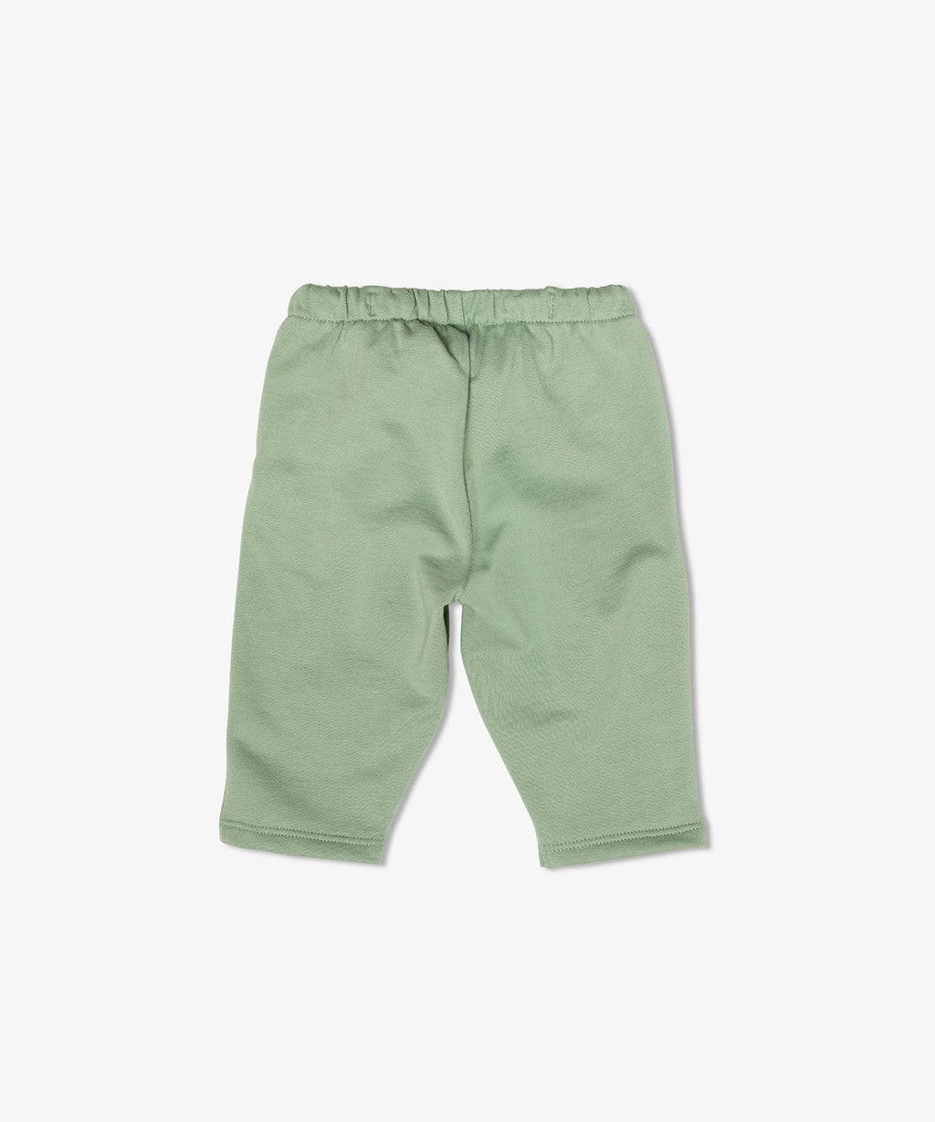 Chris Baby Jogger in Basil
