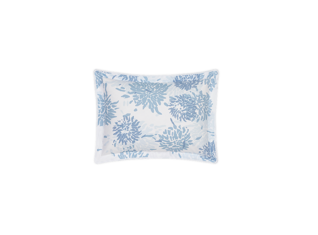 Chrysanthemum Sham