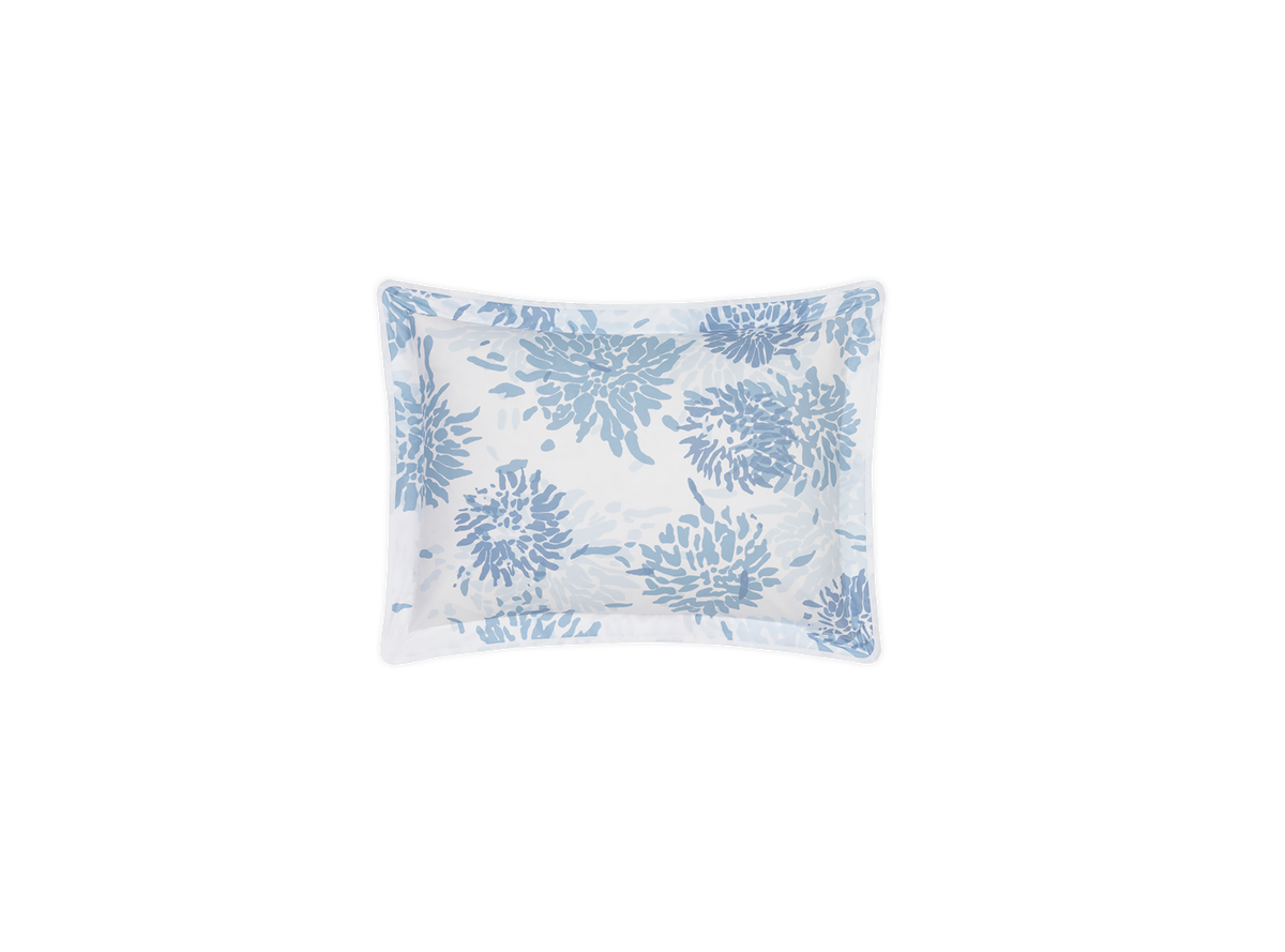 Chrysanthemum Sham