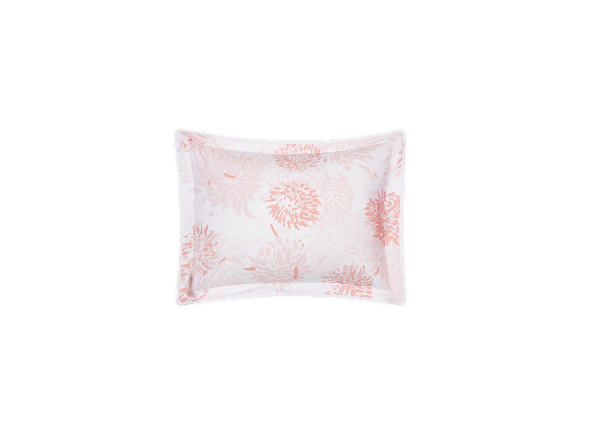 Chrysanthemum Sham
