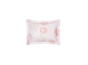 Chrysanthemum Sham