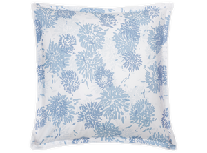 Chrysanthemum Sham
