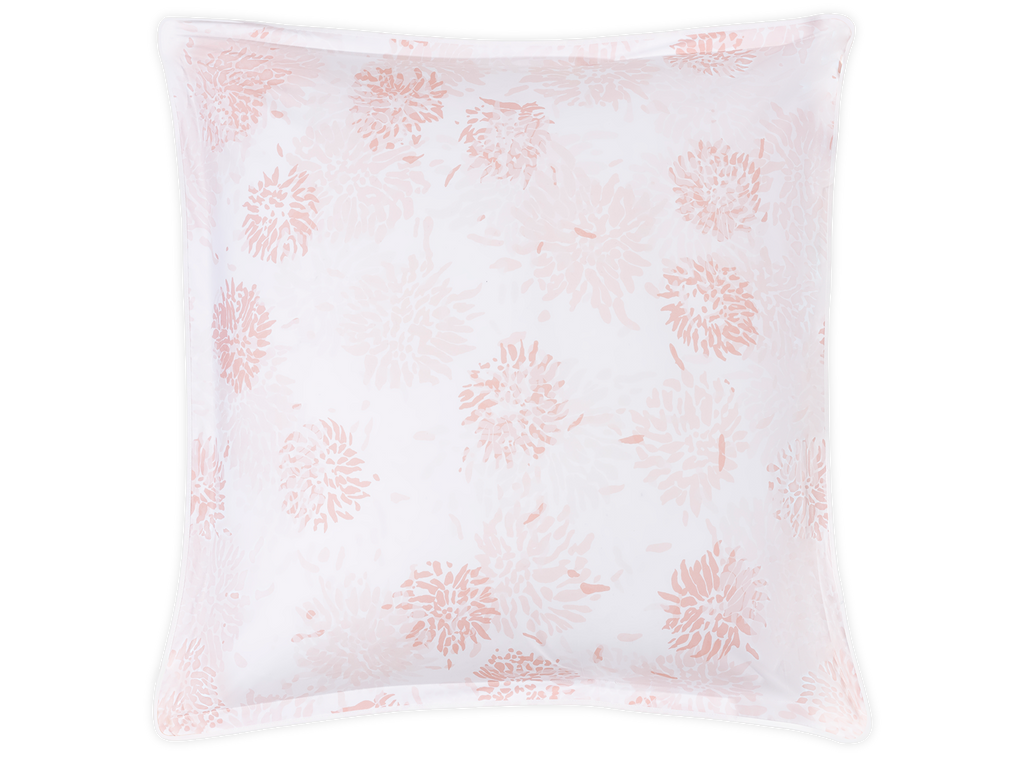 Chrysanthemum Sham