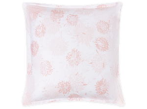 Chrysanthemum Sham