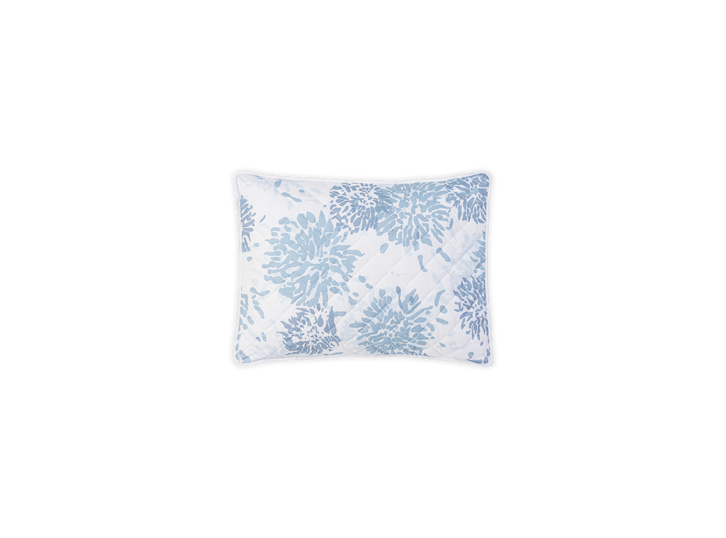 Chrysanthemum Sham