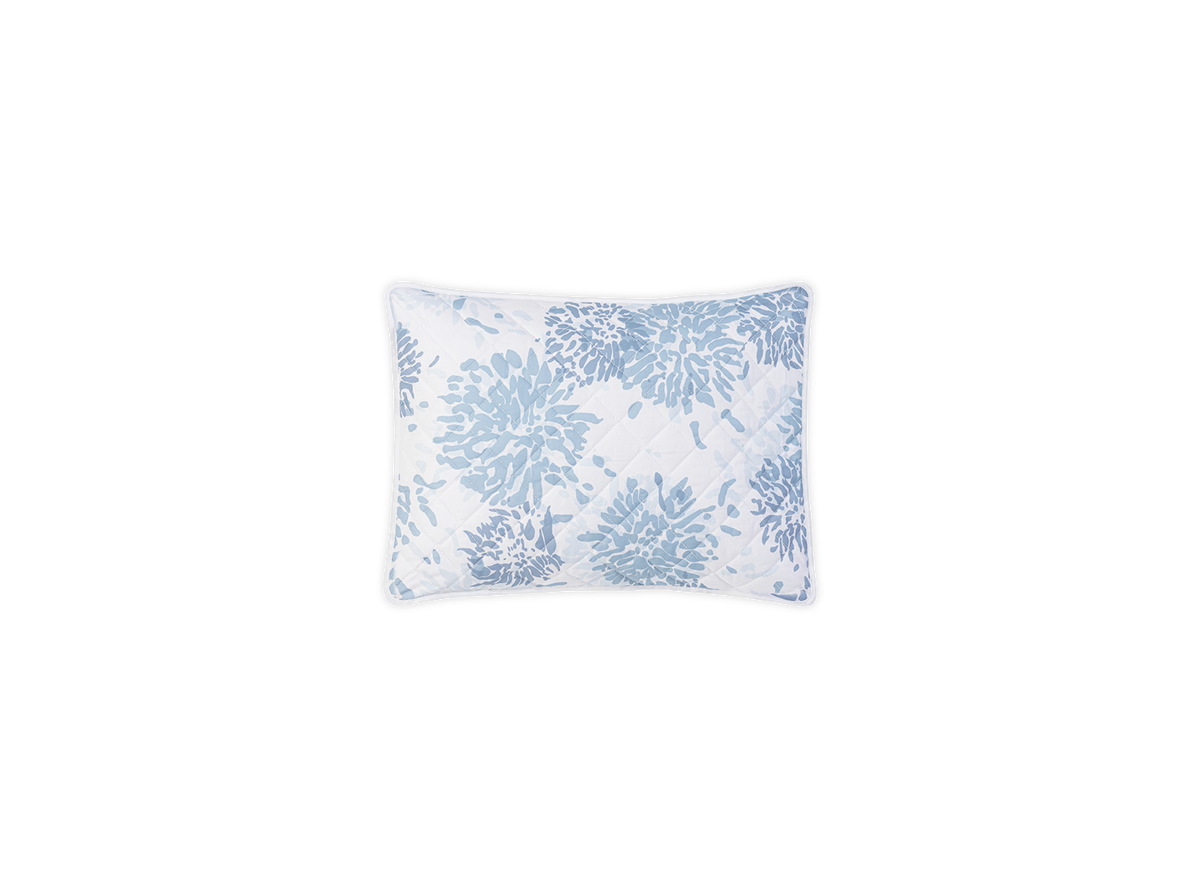 Chrysanthemum Sham