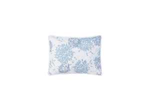 Chrysanthemum Sham