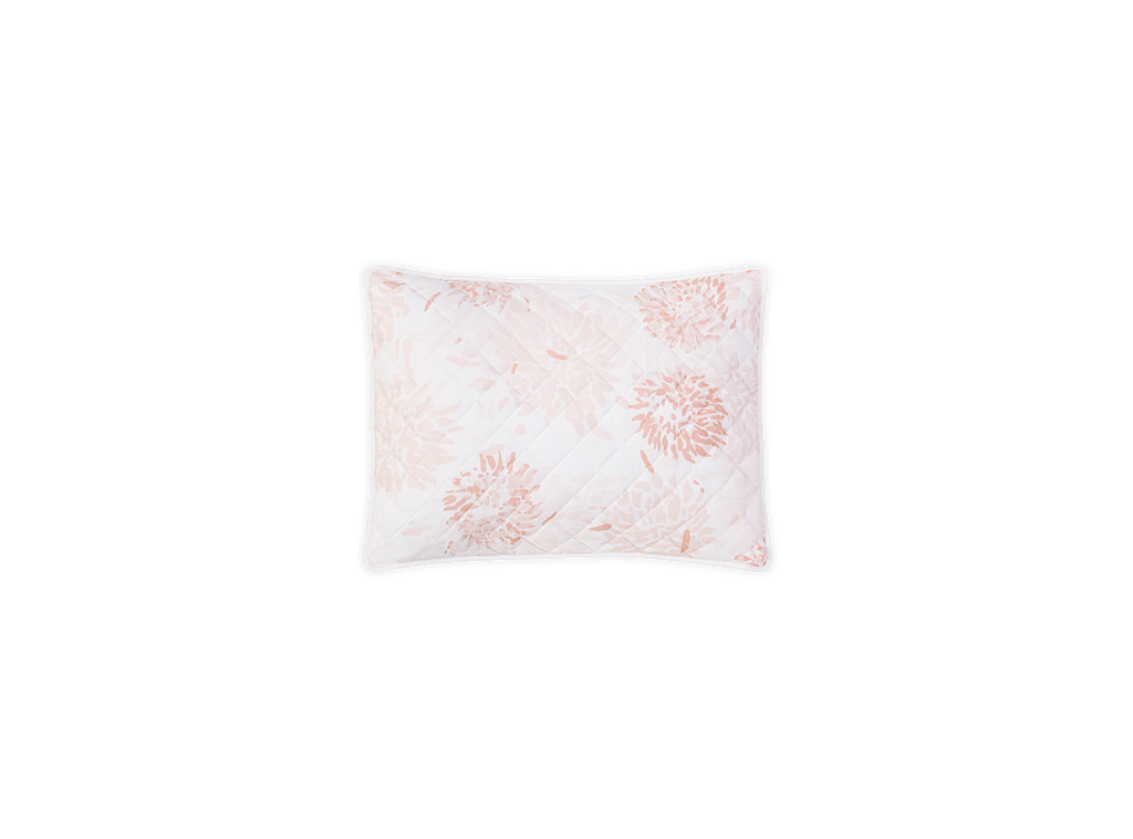 Chrysanthemum Sham