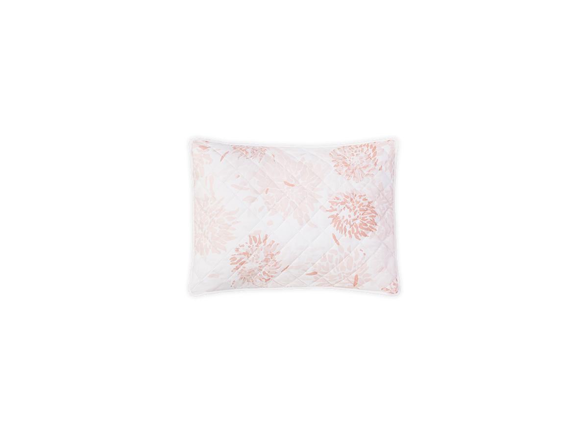 Chrysanthemum Sham