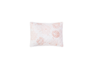 Chrysanthemum Sham