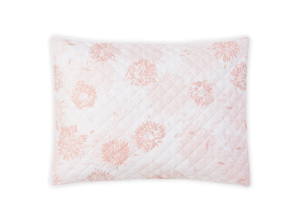 Chrysanthemum Sham