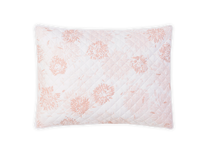 Chrysanthemum Sham