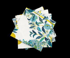 Matouk Schumacher Citrus Garden Napkin in Pool, Set of 4