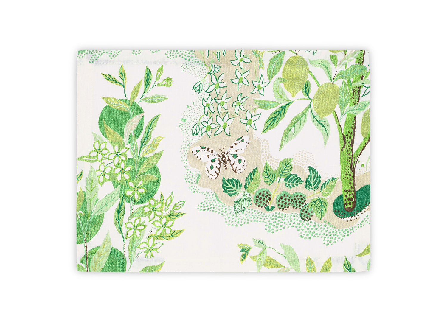 Matouk Schumacher Citrus Garden Placemat in Grass, Set of 4