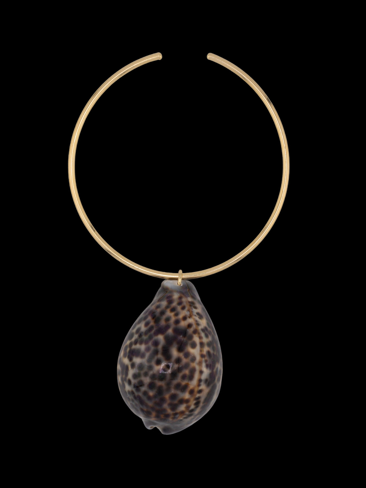 Sulli Shell Necklace