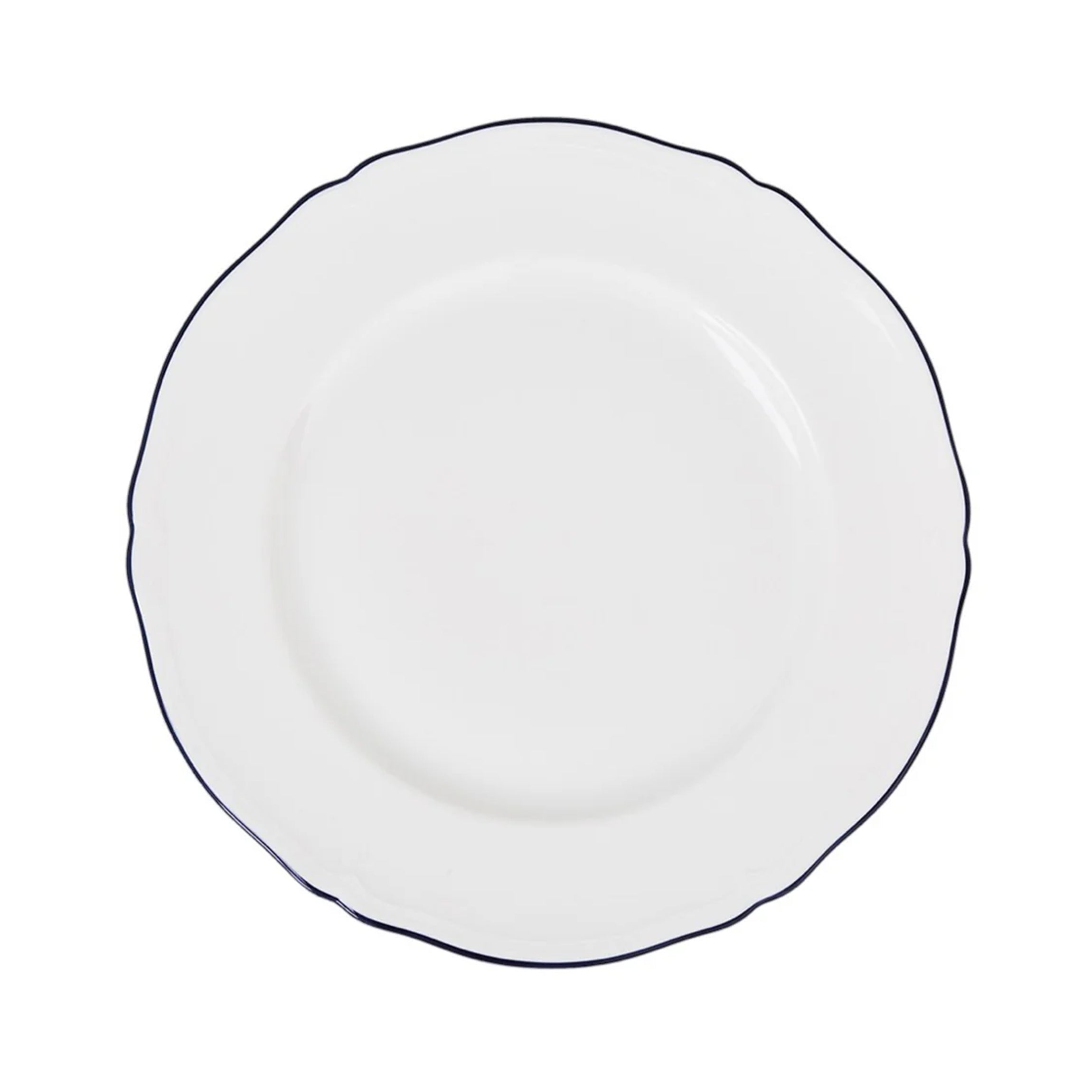 Corona Charger Plate