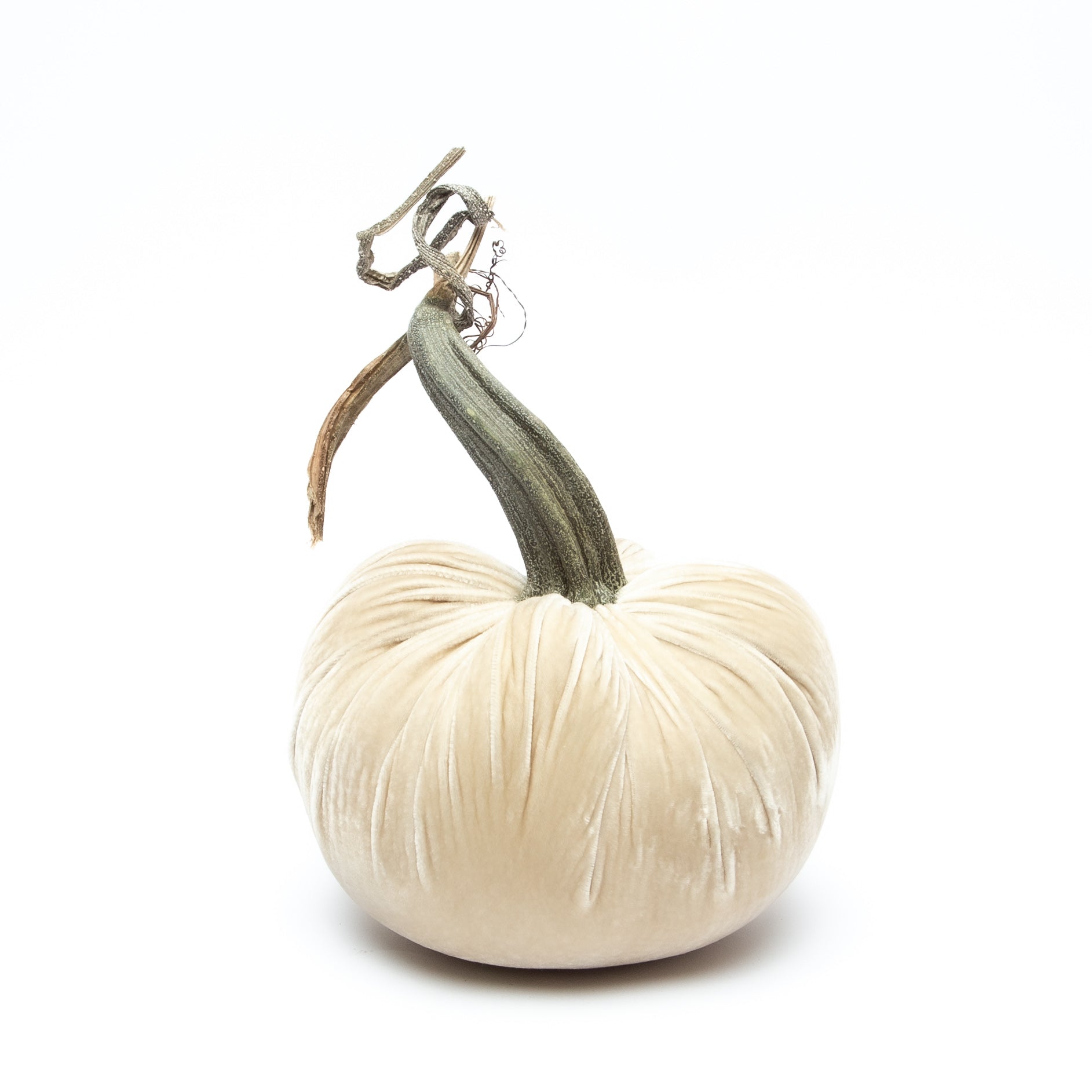 Cream Silk Velvet Pumpkin