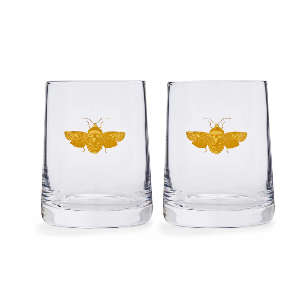 Creatures of Curiosity Glasses, Set of 2