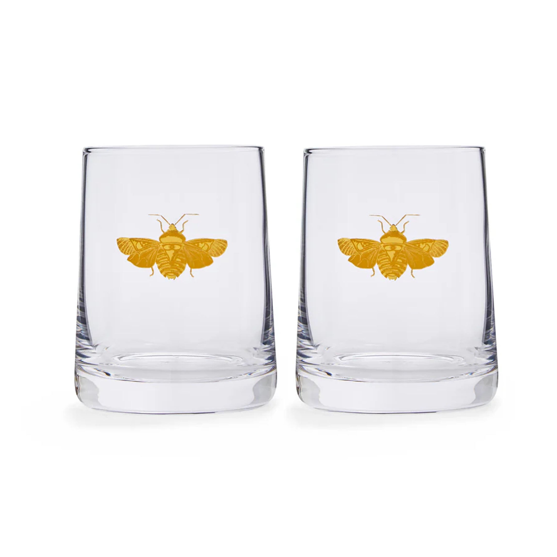 Creatures of Curiosity Glasses, Set of 2